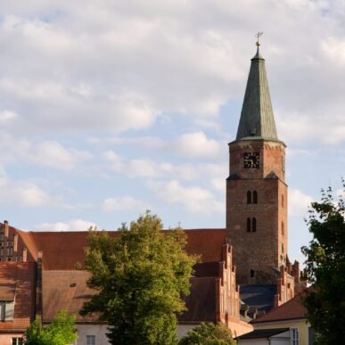 {{brizy_dc_image_alt imageSrc=